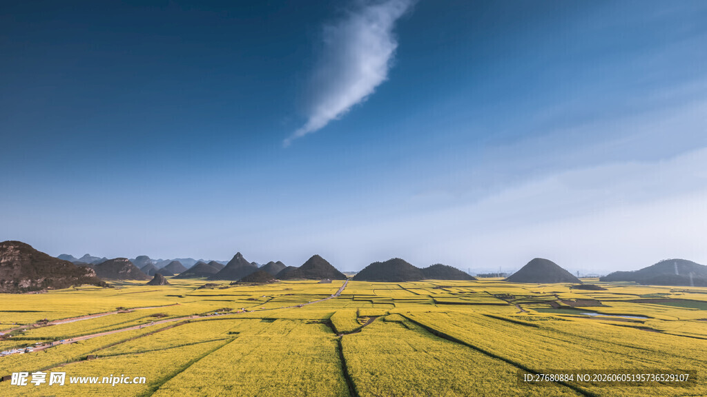 金黄田野与远山蓝天美景