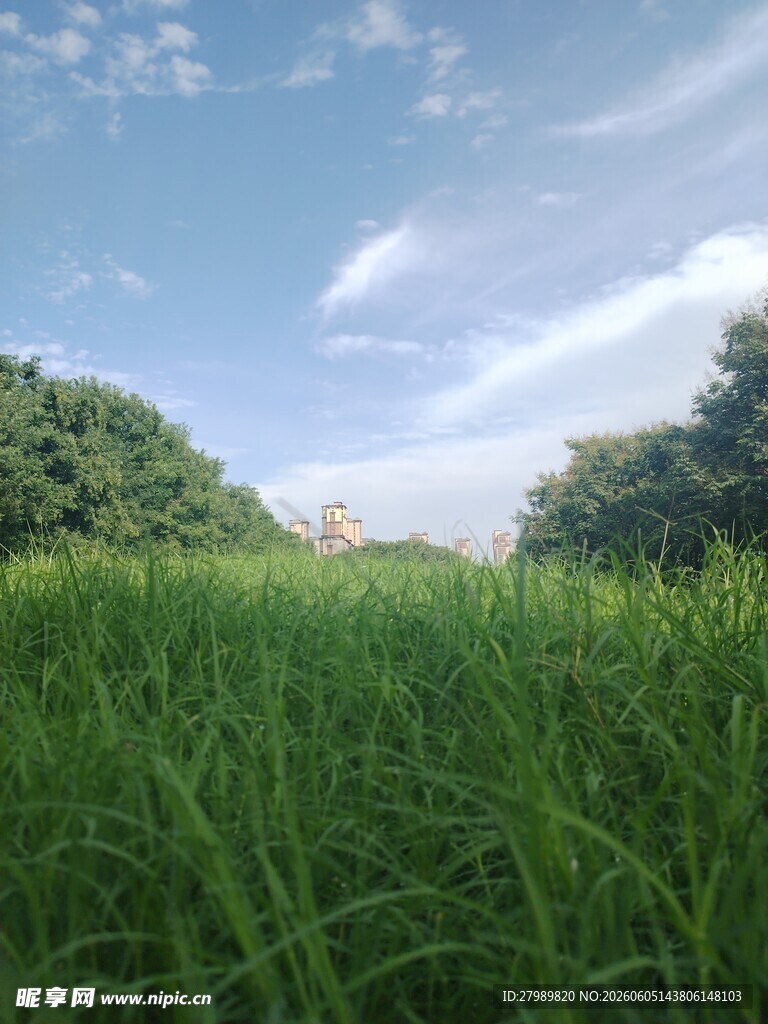 绿野蓝天间的自然美景