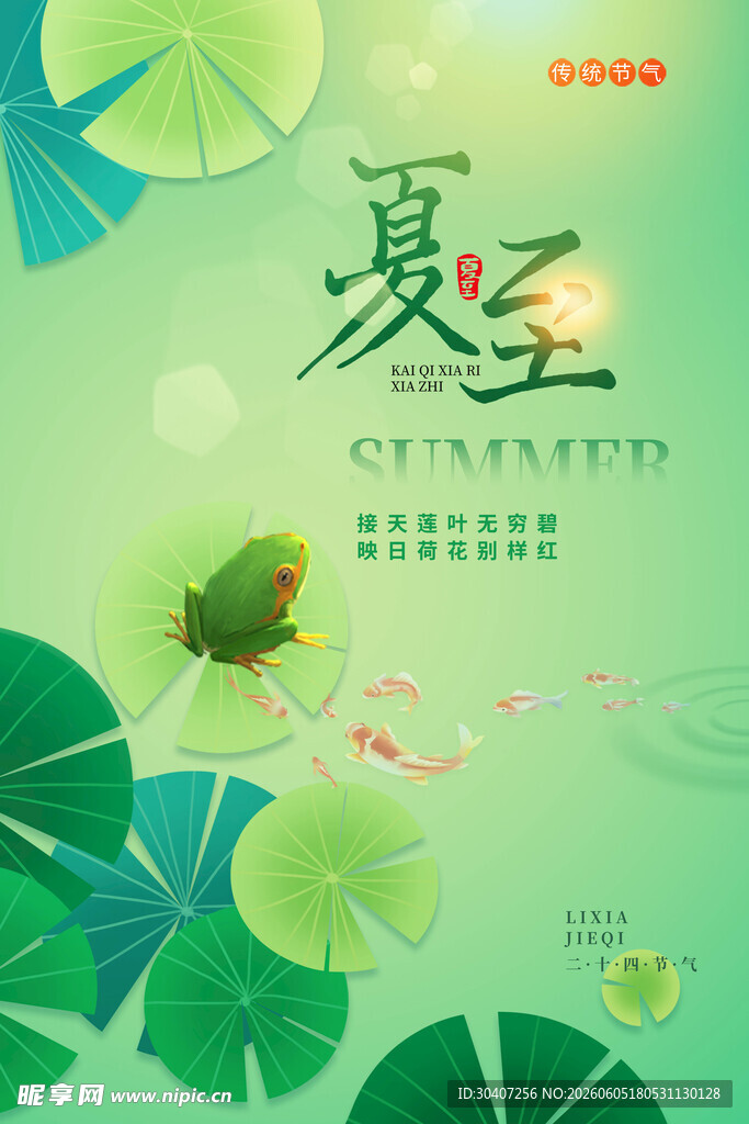 夏至时节荷叶上的青蛙