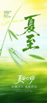 夏至宣传图片