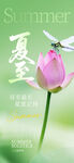 夏至节气宣传图片