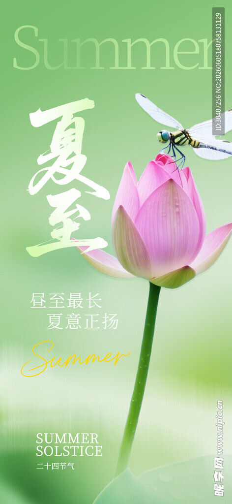 夏至节气宣传图片