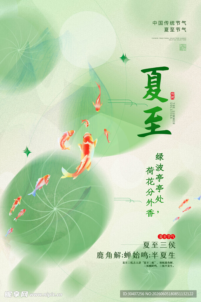 夏至时节荷塘灵动之景