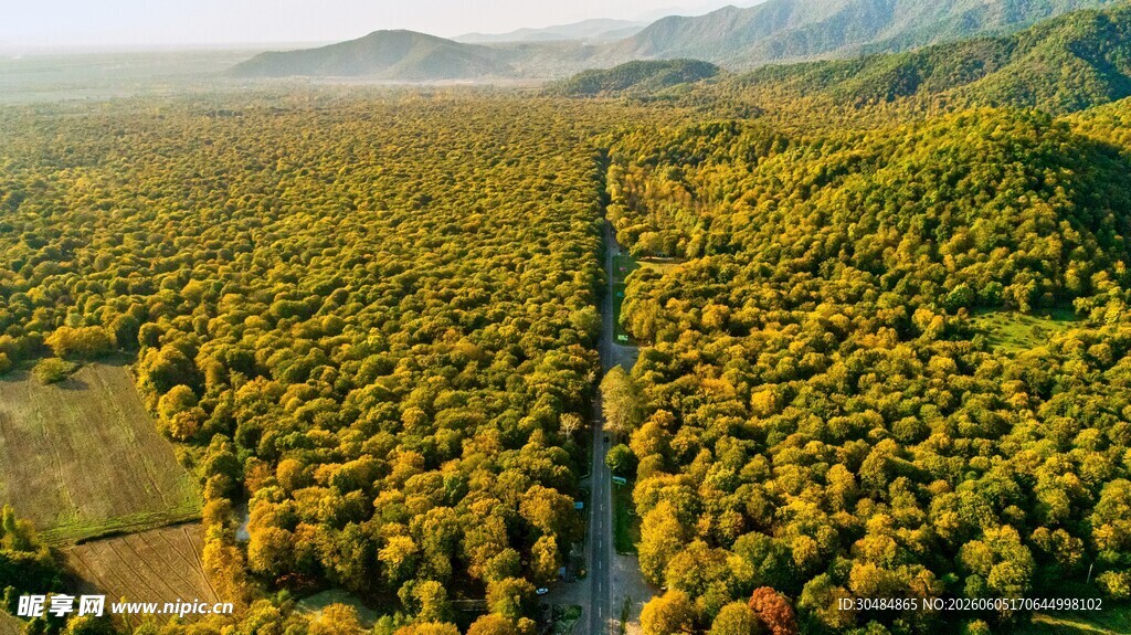 航拍葱郁山林间的道路