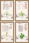 好看的中医中药药材宣传系列海报