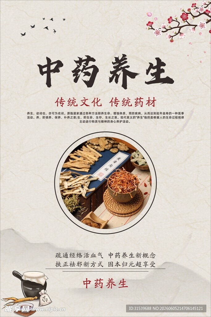 中药调理中医养生宣传海报