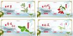 简朴中医中药药材宣传系列海报