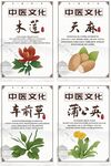 中国风中医中药药材宣传系列海报