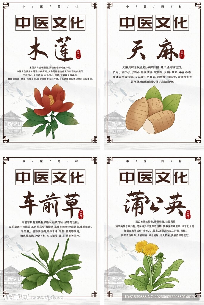 中国风中医中药药材宣传系列海报