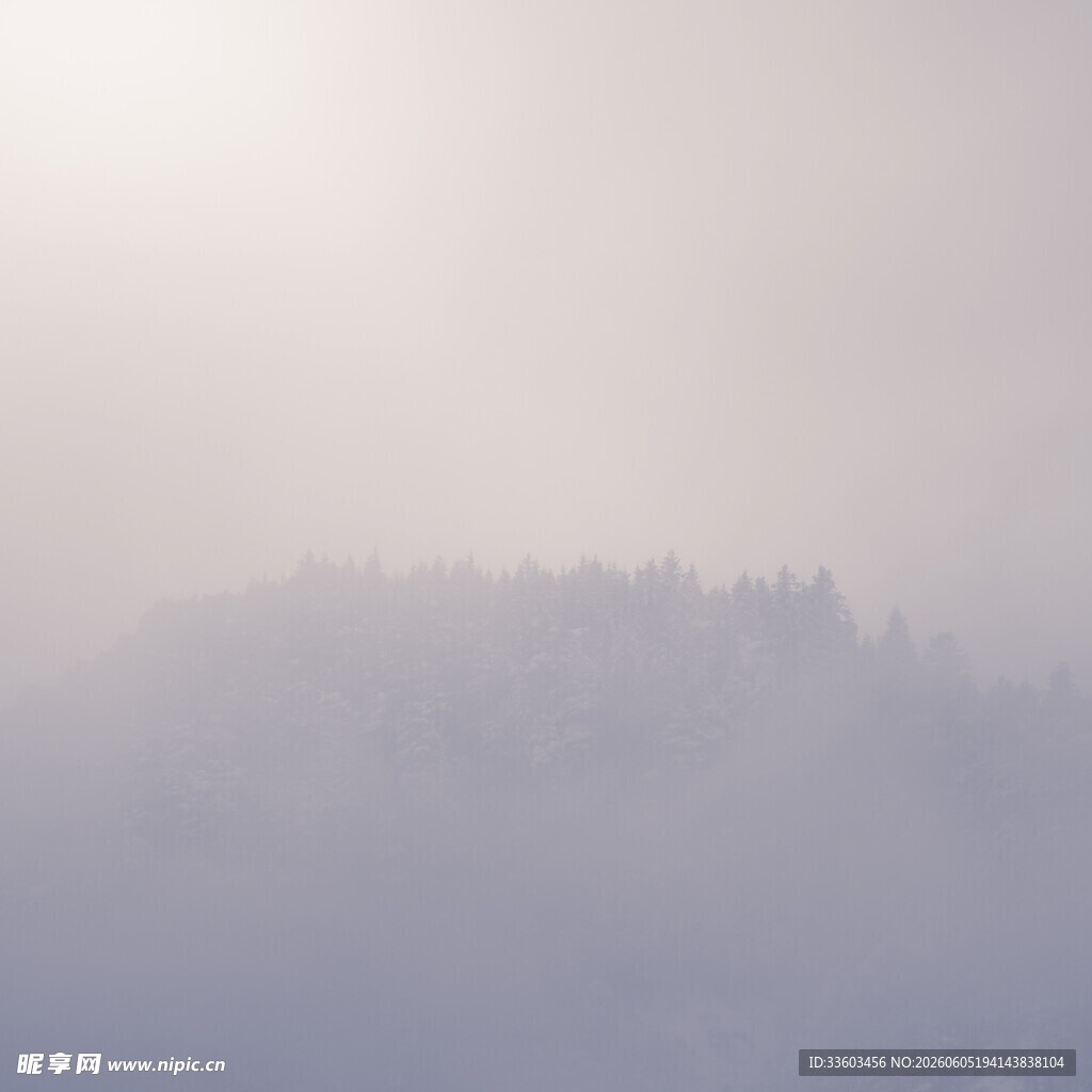 雾中山林阳光穿透之景