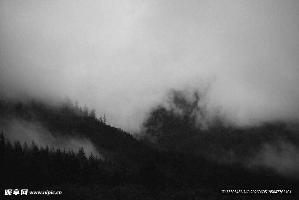 雾中朦胧山林景象