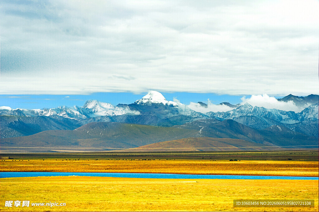 金黄草原与远处雪山美景