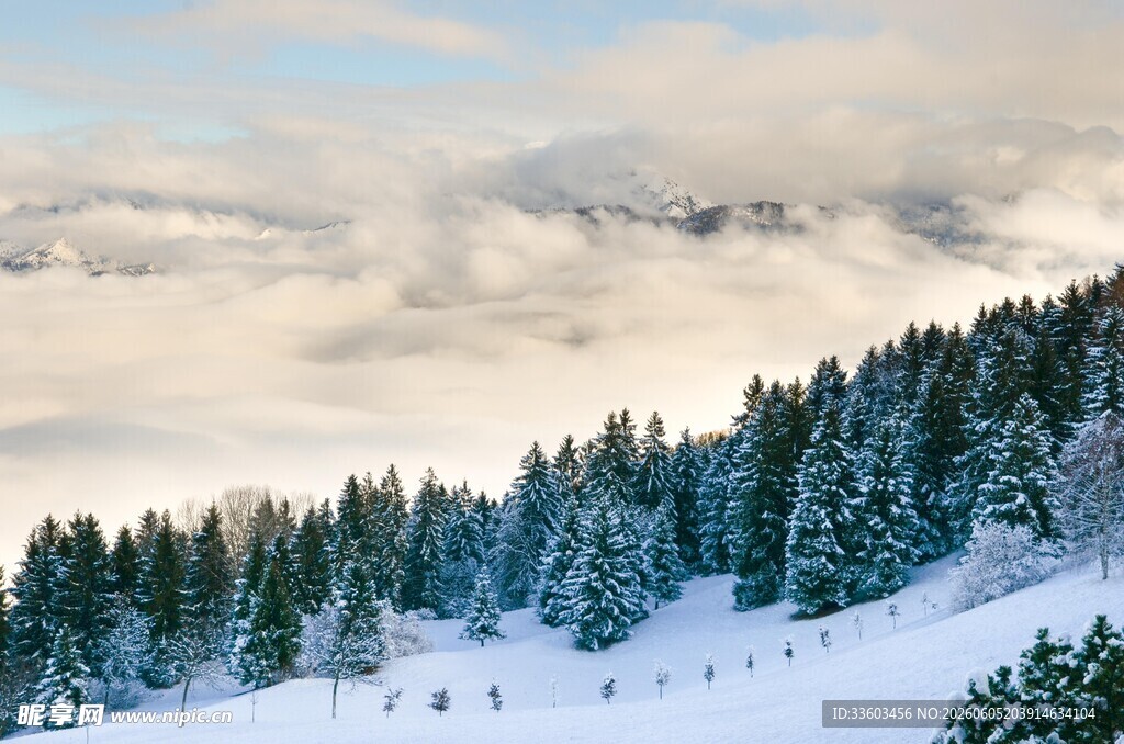 雪覆山林云海景观