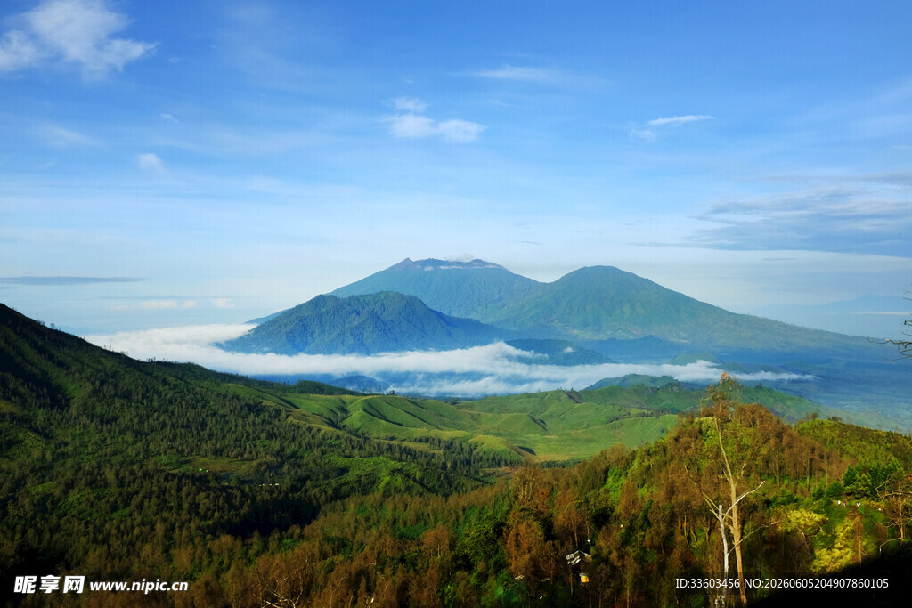 壮丽山峦间的云海美景