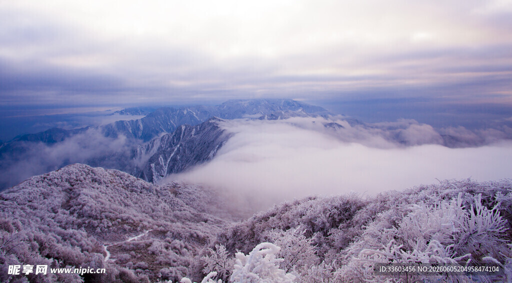 雪山云海壮丽景观