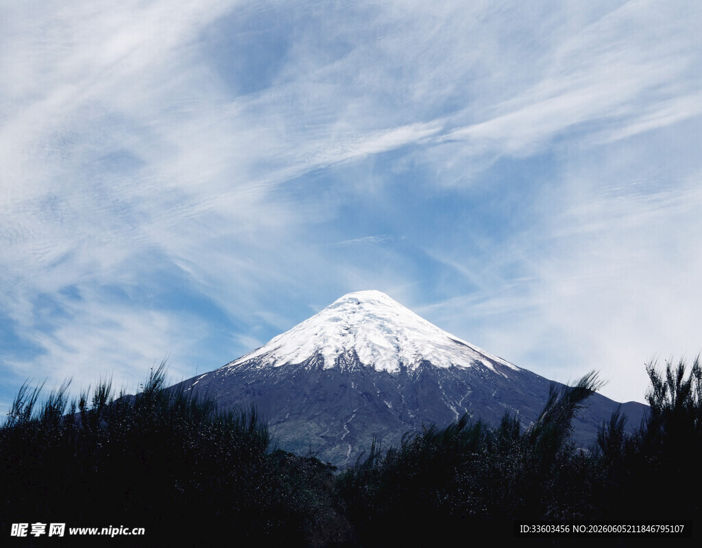 巍峨雪山与天际林木景观