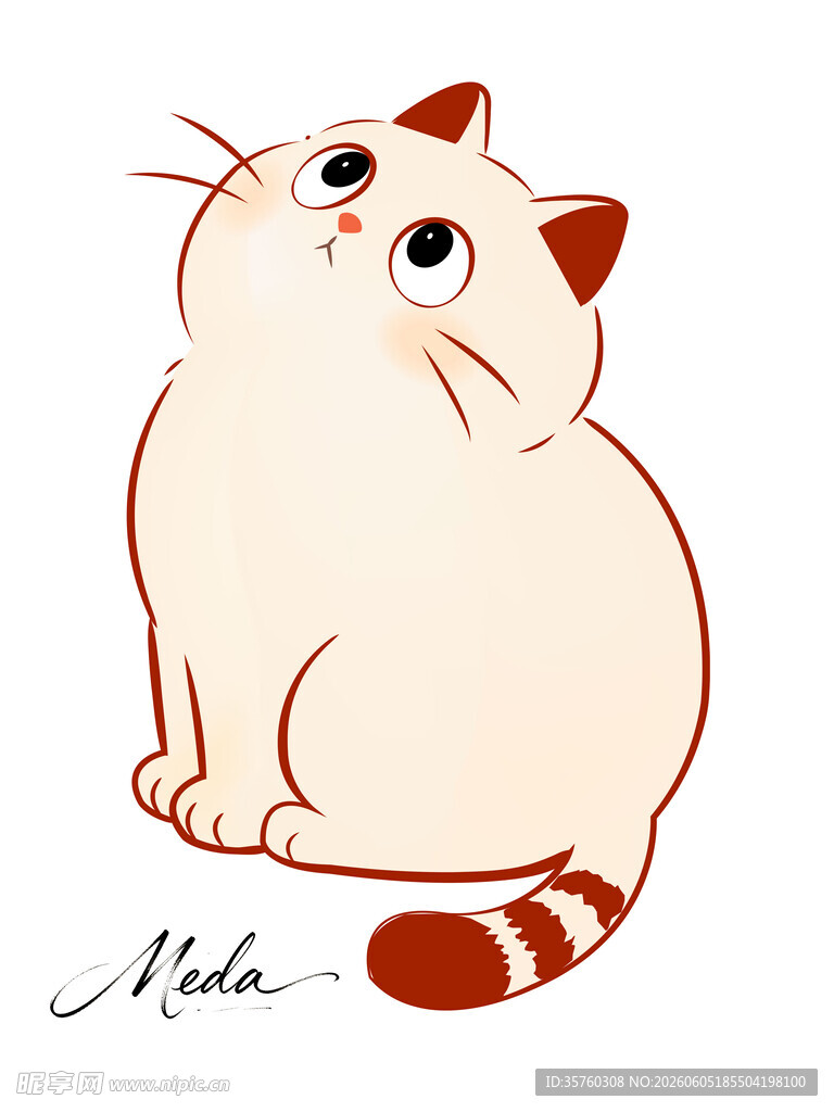 可爱坐姿猫咪