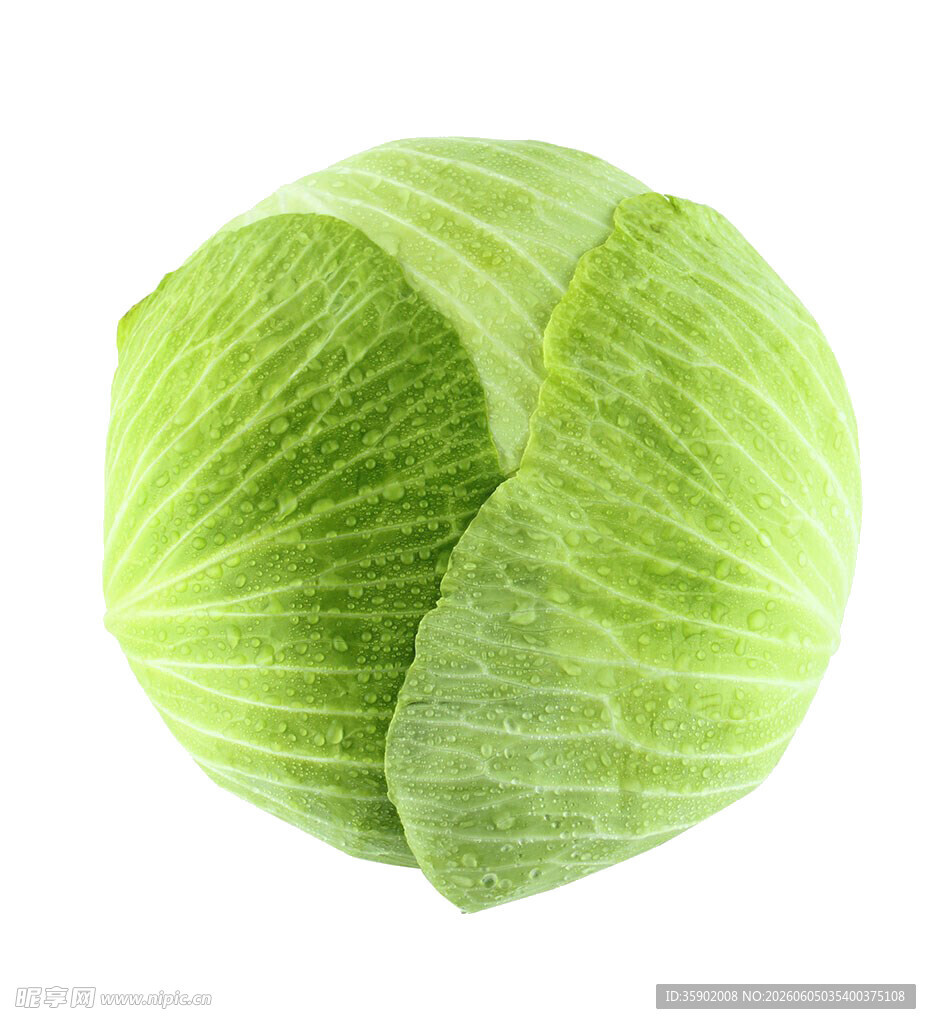 新鲜圆白菜