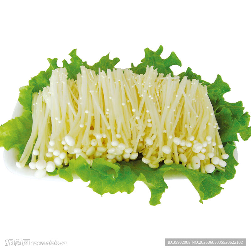 新鲜金针菇摆放在绿叶上