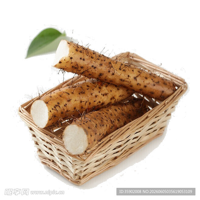 竹篮中的新鲜山药