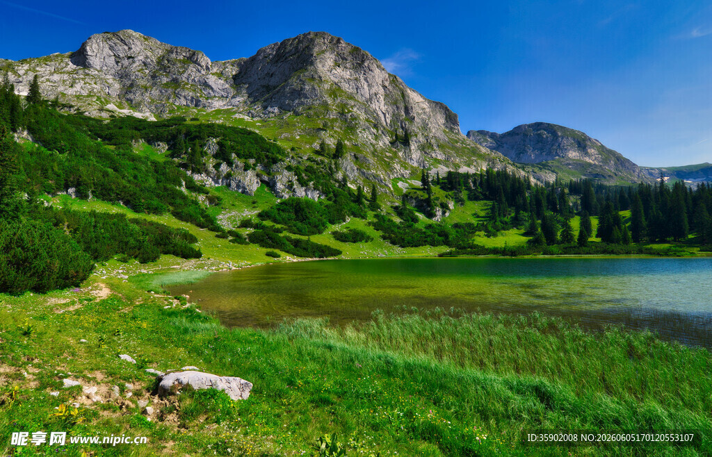 山间翠湖美景