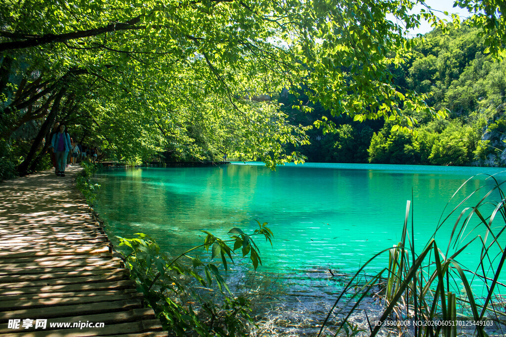 林间碧湖栈道美景