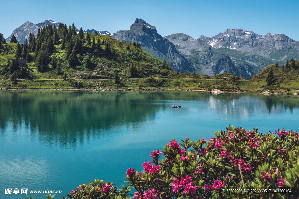 湖畔繁花映青山美景