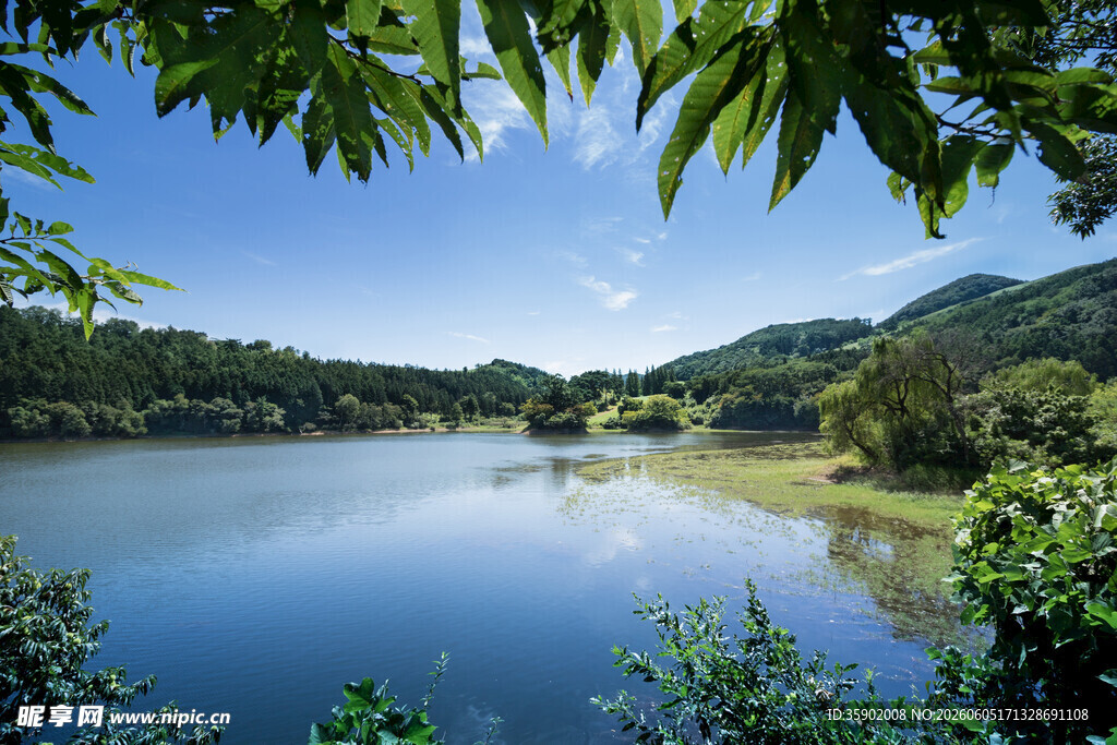 湖畔绿意盎然的自然景致