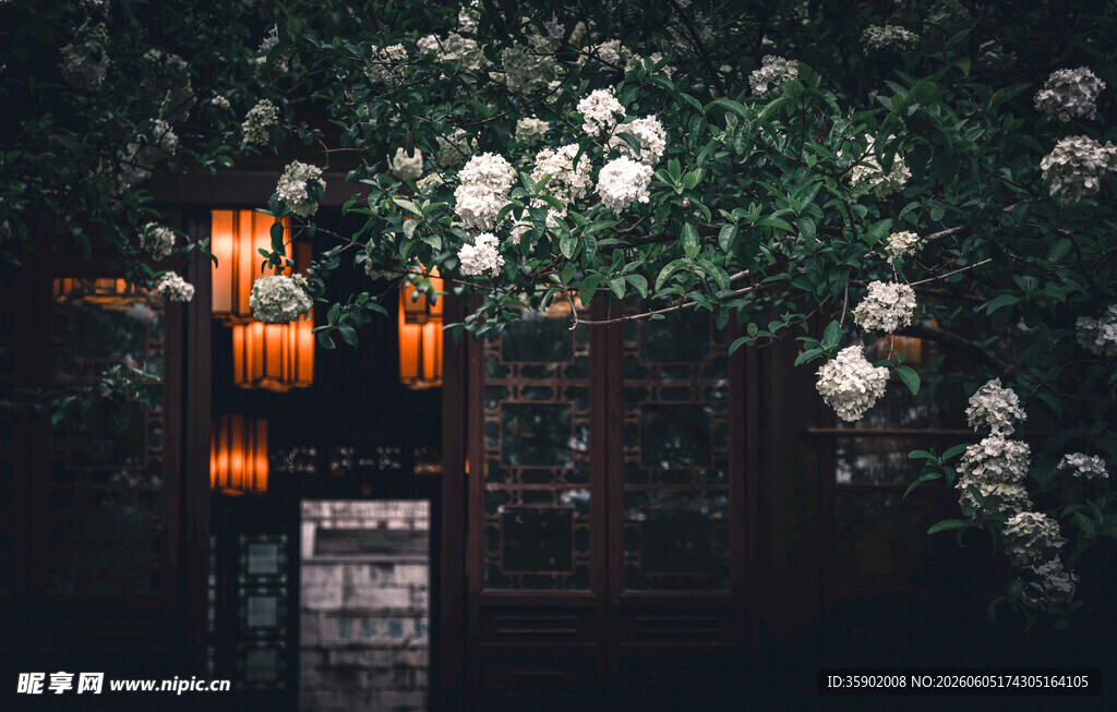 中式庭院灯笼与繁花景致