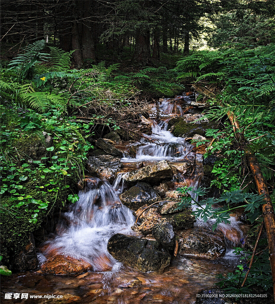 山间溪流绿意盎然的景致