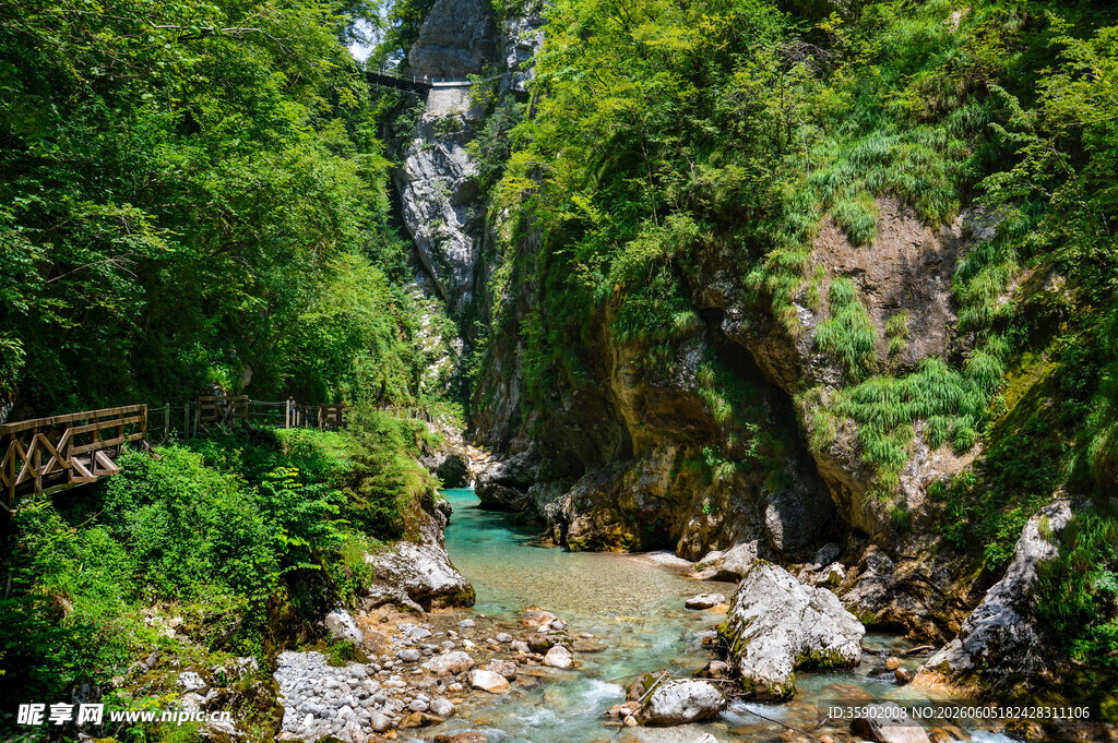山间幽美峡谷溪流景观