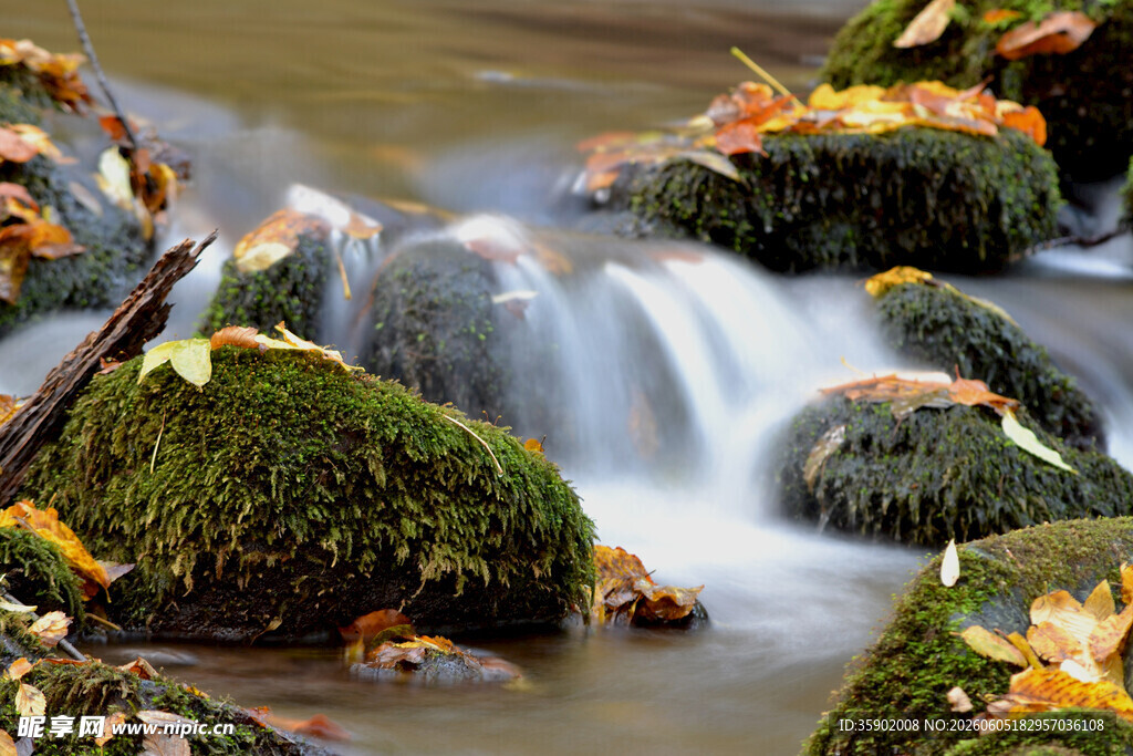 山间溪流覆苔秋叶美景