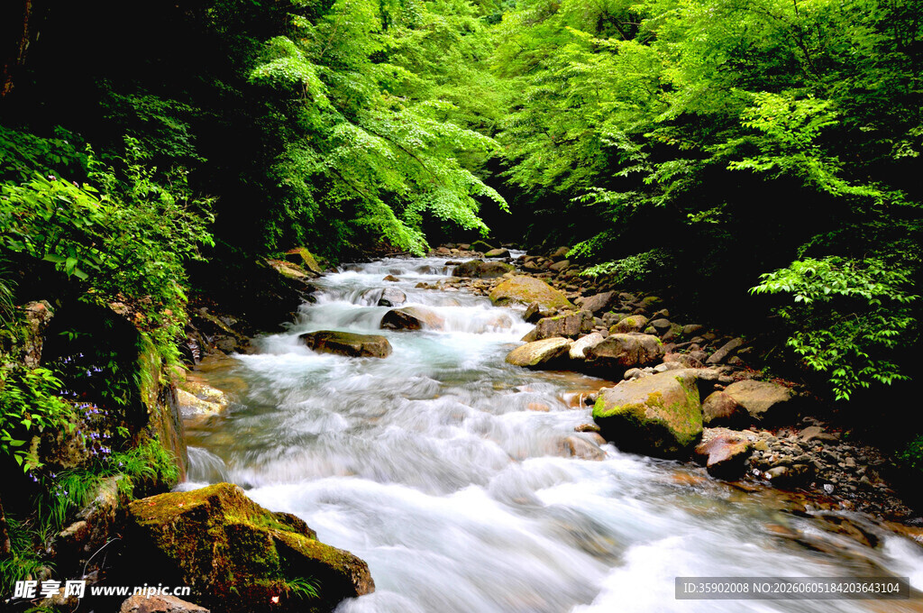 山间溪流绿意盎然之景