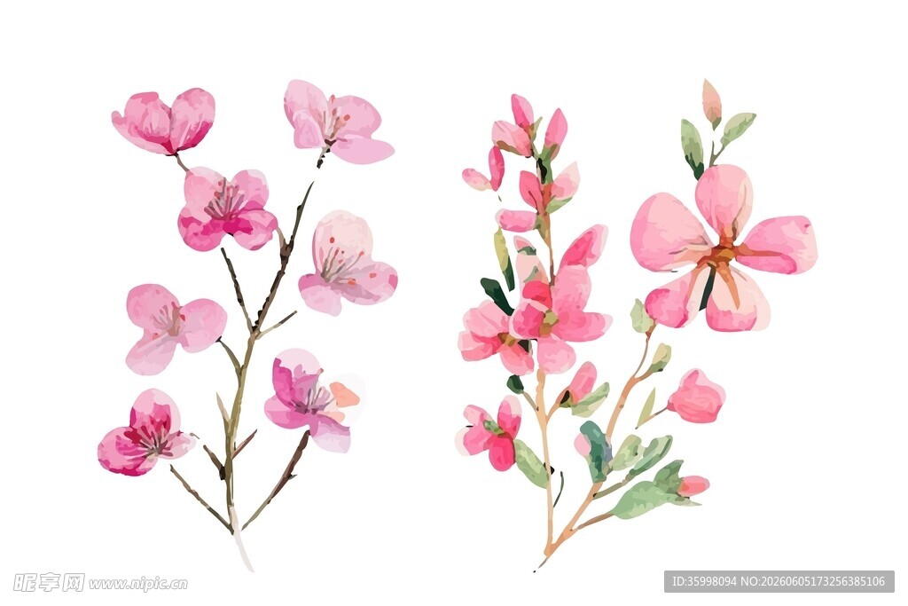 手绘花卉插画