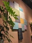 墙面多彩装饰画与绿植搭配