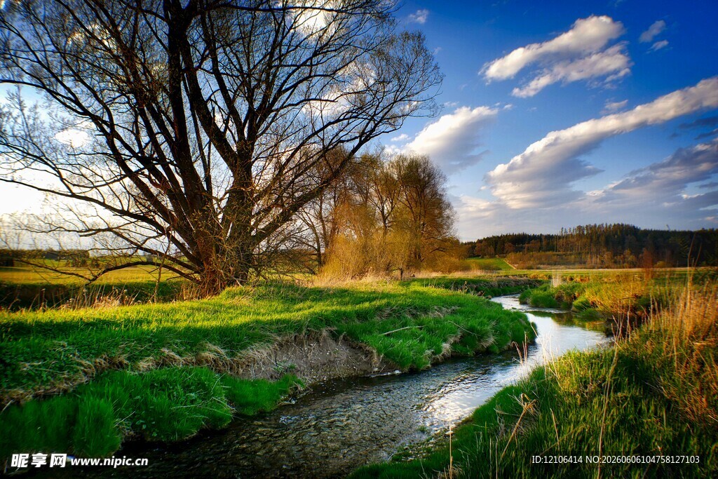 田园河畔风光枯树映蓝天
