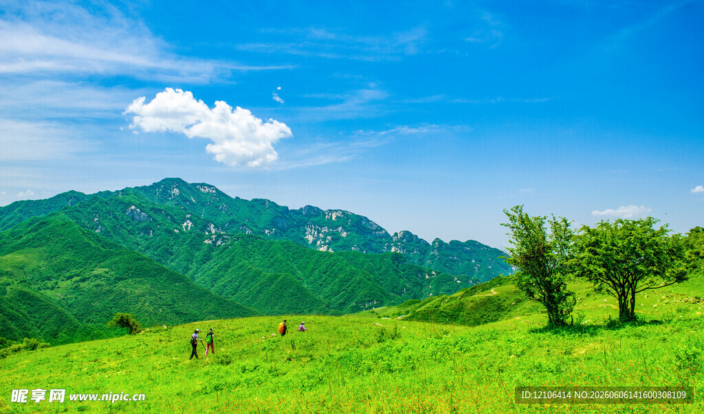 草原青山美景