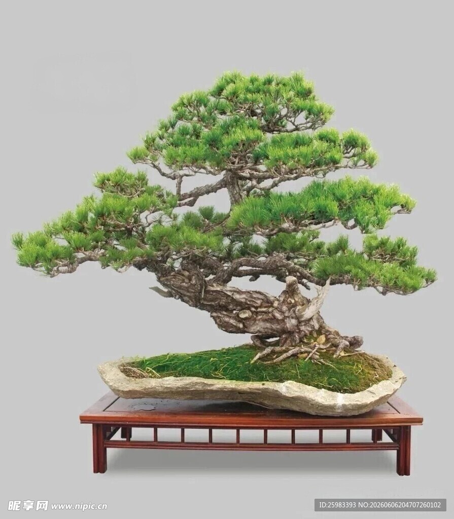 盆景