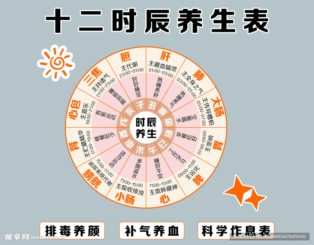 十二时辰养生表图示