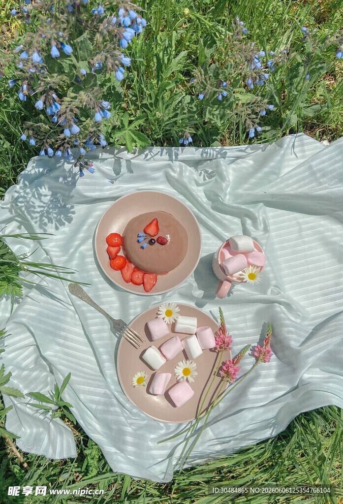 户外野餐的水果与鲜花