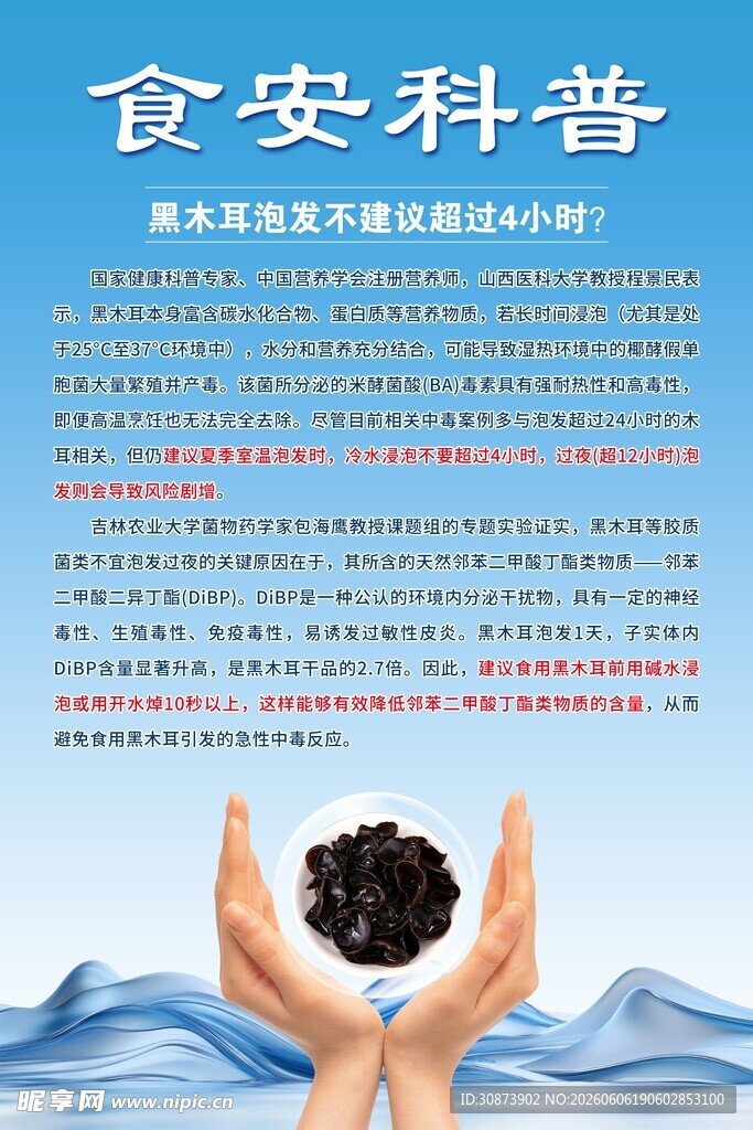 食安科普   守护粮食安全