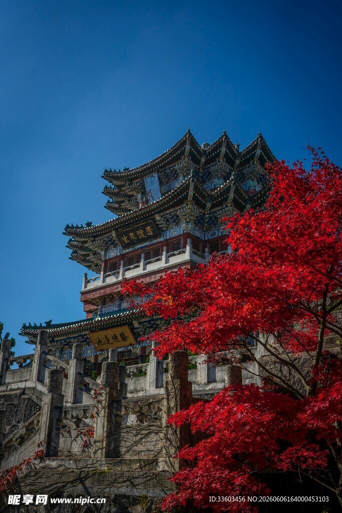 古楼映红枫