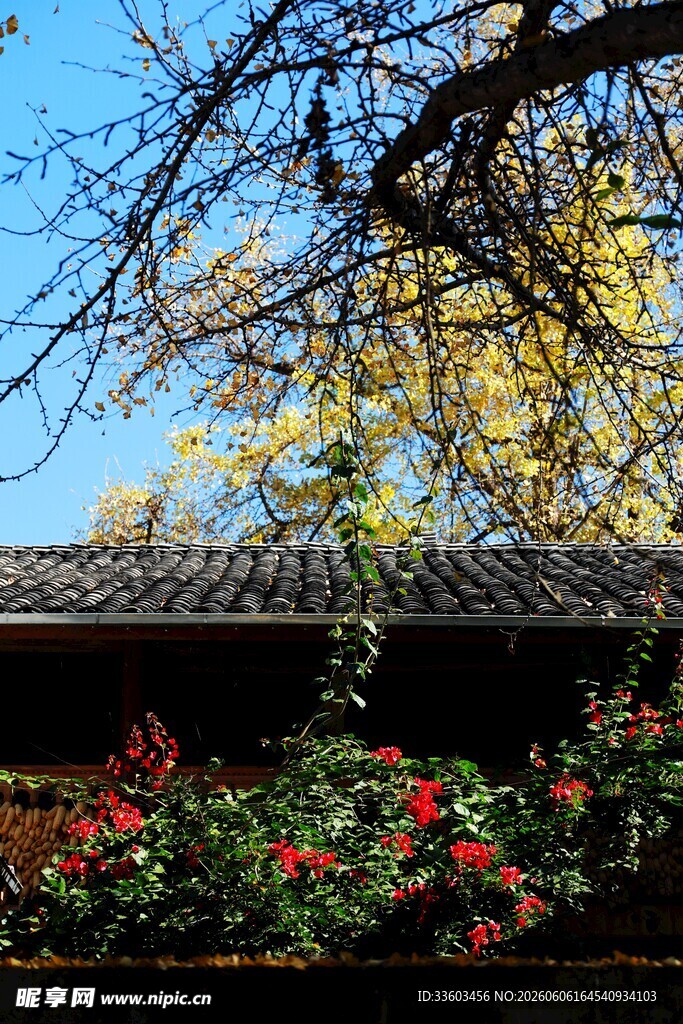古建旁繁花与秋叶相映