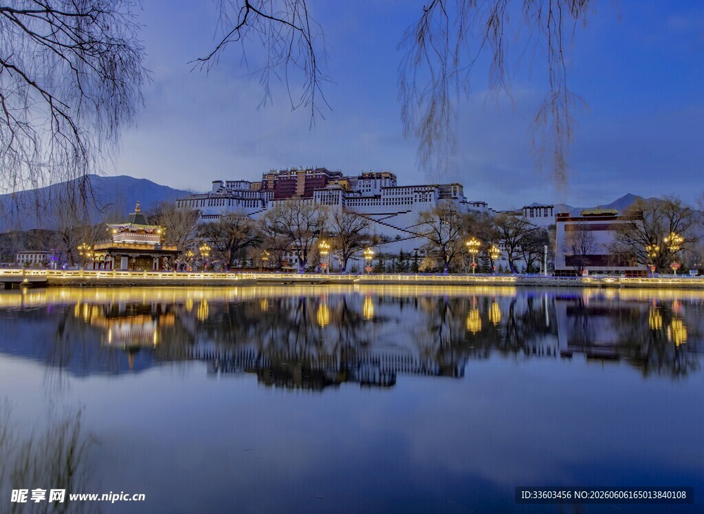 湖畔夜景城市与自然的交融