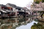江南水乡春日美景