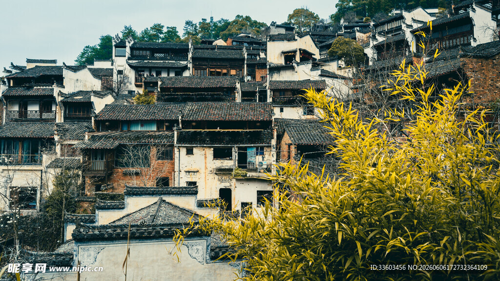 古村落景致黄叶点缀房屋
