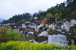 山村春色烂漫油菜伴民居