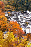 秋日山村斑斓色彩景致