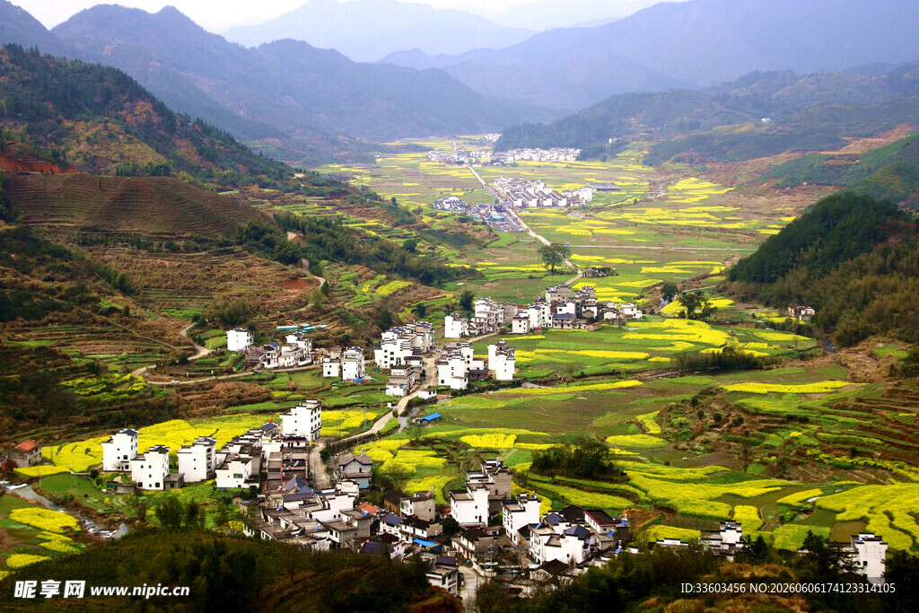 山间村落油菜花田美景