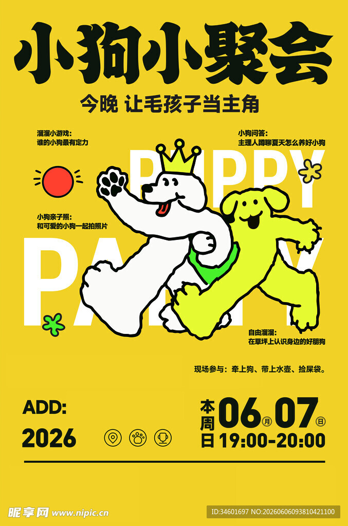 宠物狗